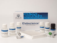 FA/VB9(Folic Acid/Vitamin B9) ELISA Kit, Cell Assays, Elabscience Biotechnology, MSE Supplies