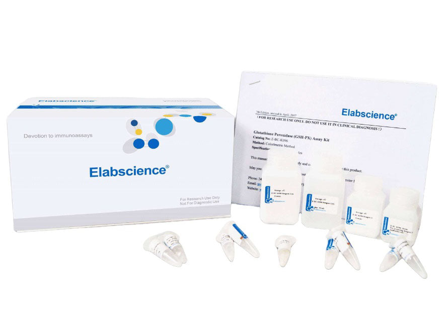 Vitamin C (VC) Colorimetric Assay Kit, Cell Assays, Elabscience Biotechnology, MSE Supplies