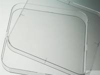 Witeg Bacteriological Petri Dishes 120 x 120 mm