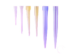Witeg Pipette Tips 0,5-20µl Neutral