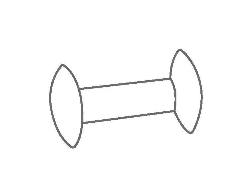 IKA IKAFLON 54 Bone Magnetic Stirring Bar, (L x rod Ø x disk Ø): 55 x 8 x 20 mm, 5 pcs, Stirrers, IKA, MSE Supplies