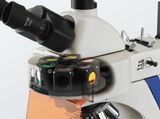 MSE PRO™ BM01 Biological Microscope - MSE Supplies LLC