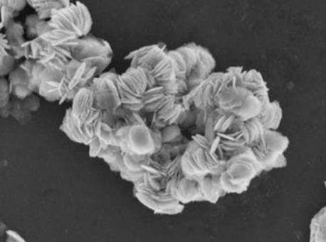 MSE PRO 4N 99.99% Tantalum Disulfide (TaS<sub>2</sub>) Powder, Battery Consumables, MSE Supplies LLC, MSE Supplies