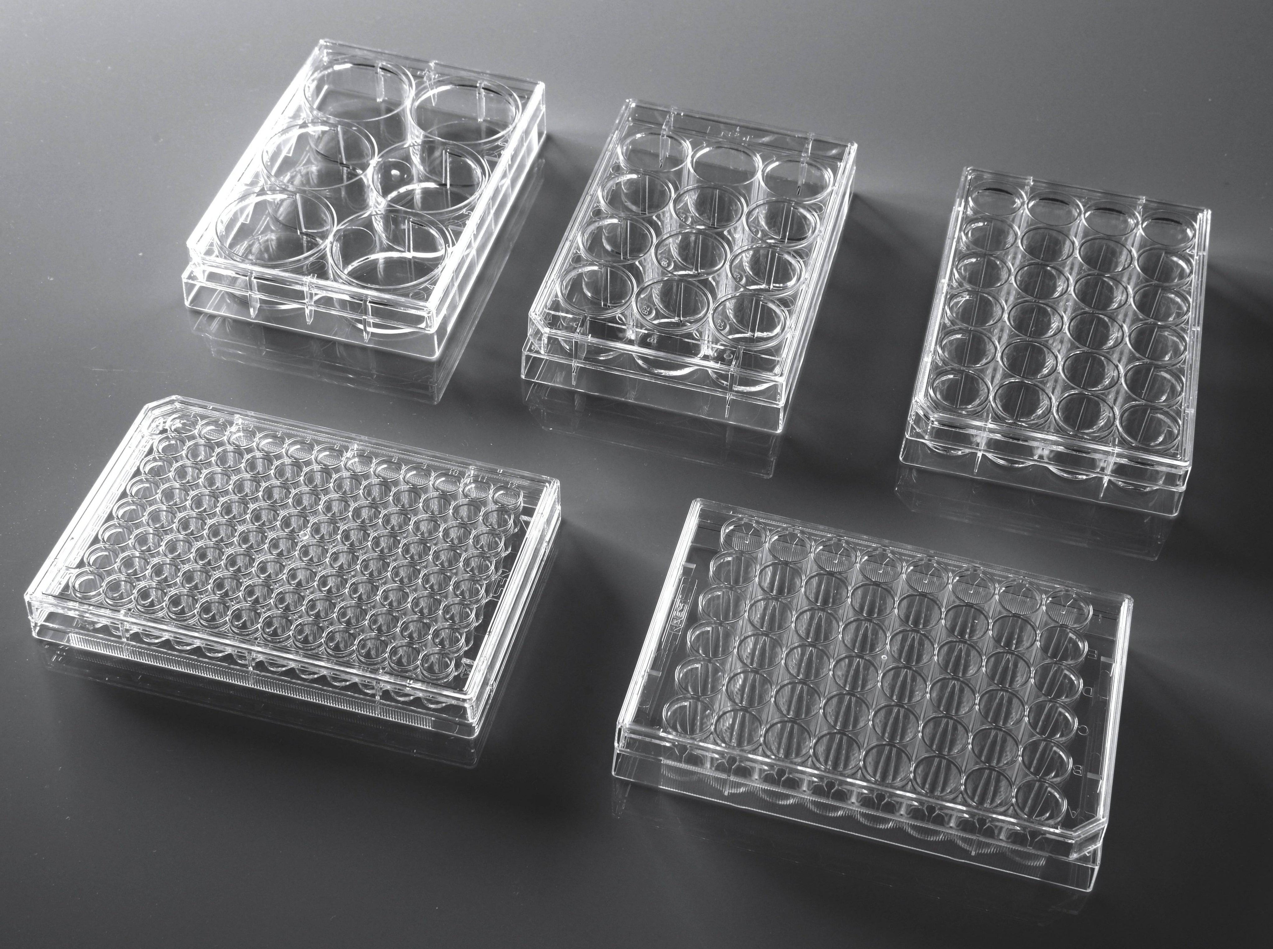 NEST Cell Culture Plates, Cell Culture, NEST Scientific, MSE Supplies