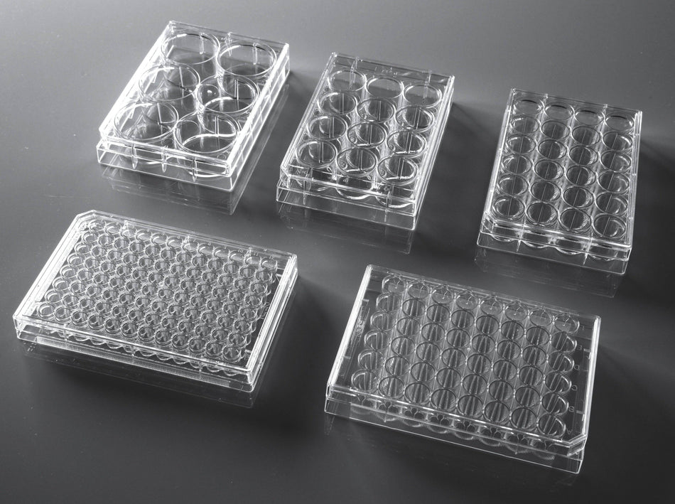NEST Cell Culture Plates, Cell Culture, NEST Scientific, MSE Supplies