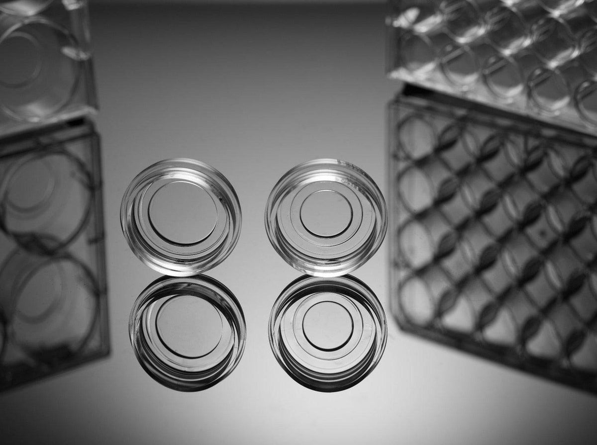 NEST Glass Bottom Cell Culture Dishes or Plates, Sterile, Cell Culture, NEST Scientific, MSE Supplies