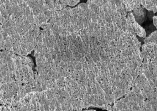 MSE PRO High Performance Spherical Lithium Titanate Li<sub>4</sub>Ti<sub>5</sub>O<sub>12</sub> Anode Powder, 500g, Battery Consumables, MSE Supplies LLC, MSE Supplies