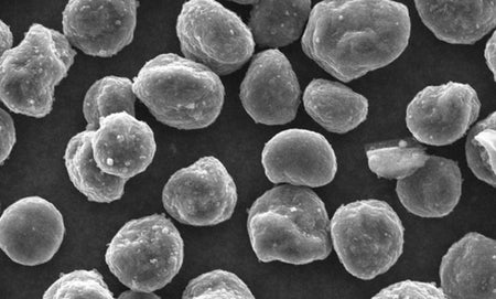 MSE PRO MCMB Mesocarbon Microbeads Synthetic Graphite Powder, 500g, 9-14um for Li-ion Battery Anode, Battery Consumables, MSE Supplies LLC, MSE Supplies