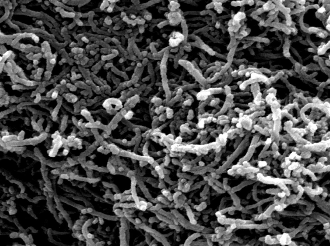 MSE PRO 10g High Purity (>99.9 wt%) Graphitized Multi-Walled Carbon Nanotubes (MWCNTs) with Open Tube Ends, Nano Materials, MSE Supplies LLC, MSE Supplies