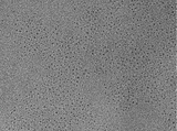 Monolayer Molybdenum Disulfide (MoS<sub>2</sub>) Quantum Dots Nano Powder - MSE Supplies LLC