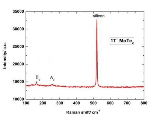 MSE PRO Chemical Vapor Deposition (CVD) Molybdenum Telluride (MoTe<sub>2</sub>) Film, Wafers, MSE Supplies LLC, MSE Supplies