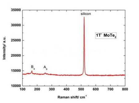 MSE PRO Chemical Vapor Deposition (CVD) Molybdenum Telluride (MoTe<sub>2</sub>) Film, Wafers, MSE Supplies LLC, MSE Supplies