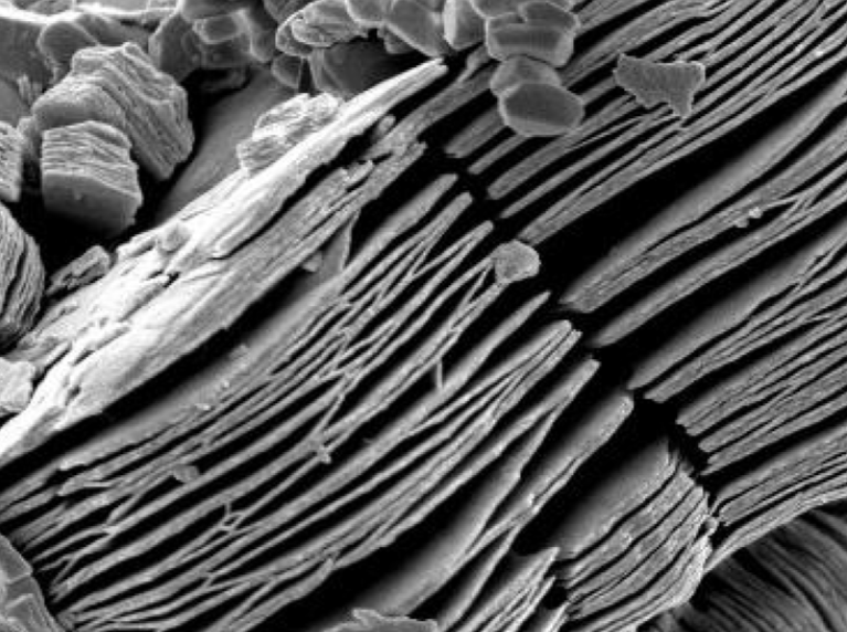 MSE PRO Ti3C2Tx MXene Multilayer Nanoflakes, Chemicals and Compounds, MSE Supplies LLC, MSE Supplies