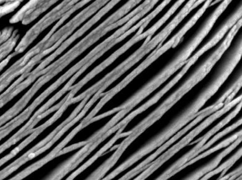 MSE PRO Ti3C2Tx MXene Multilayer Nanoflakes, Chemicals and Compounds, MSE Supplies LLC, MSE Supplies