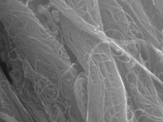 MSE PRO High Purity (>95 wt%) Single-walled Carbon Nanotubes (Floating Catalyst Method), 1g, Nano Materials, MSE Supplies LLC, MSE Supplies