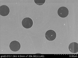 Suspended Bilayer Graphene Film on TEM Grids - Pack 4 units,  MSE Supplies