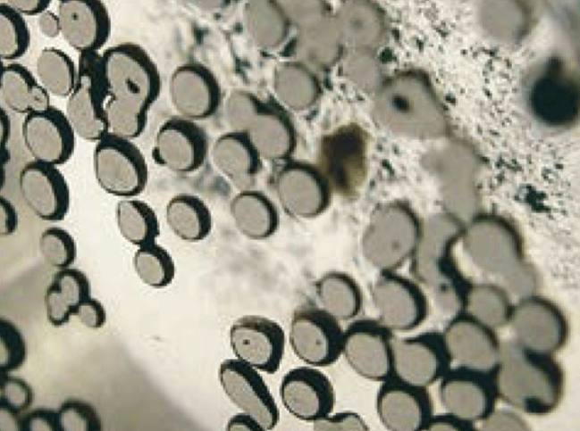 Metkon Automatic Mounting Press ECOPRESS 102/202, Metallographic Machines, Metkon Instruments, MSE Supplies