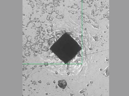 Metkon Automatic Vickers/Knoop Macro Hardness Tester DUROLINE V1, Metallographic Machines, Metkon Instruments, MSE Supplies