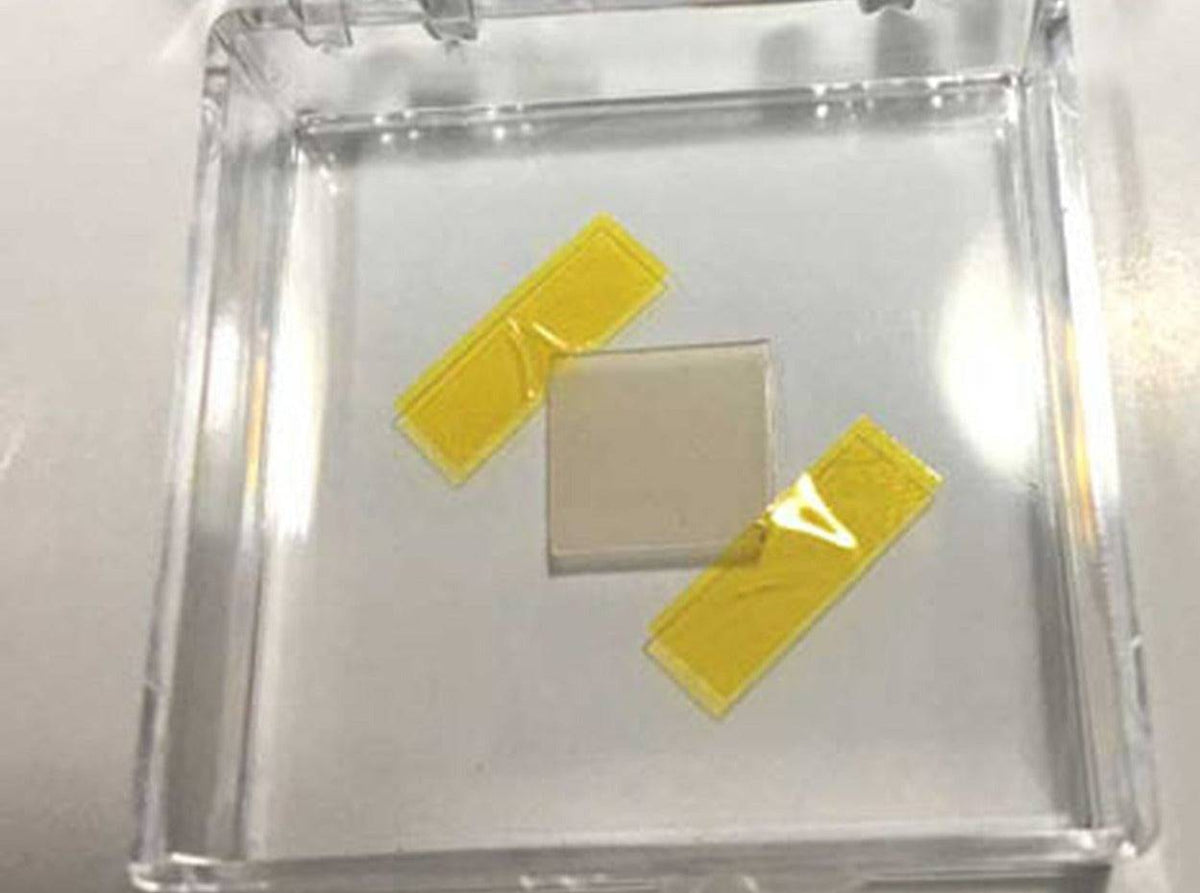 MSE PRO Chemical Vapor Deposition (CVD) Monolayer Tungsten Diselenide (WSe<sub>2</sub>) Film, Wafers, MSE Supplies LLC, MSE Supplies