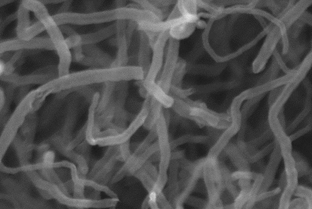 MSE PRO 10g Battery Grade 99% High Purity Multi Walled Carbon Nanotubes and 99.9% Carbon Nanofibers, Nano Materials, MSE Supplies LLC, MSE Supplies