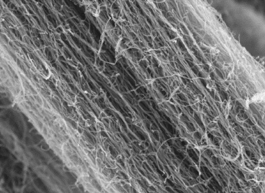 MSE PRO 10g Battery Grade 99% High Purity Multi Walled Carbon Nanotubes and 99.9% Carbon Nanofibers, Nano Materials, MSE Supplies LLC, MSE Supplies