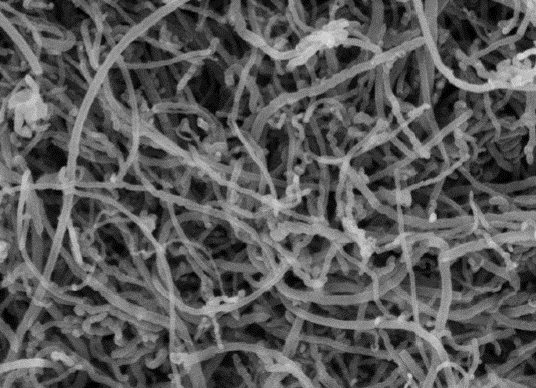 MSE PRO 10g Battery Grade 99% High Purity Multi Walled Carbon Nanotubes and 99.9% Carbon Nanofibers, Nano Materials, MSE Supplies LLC, MSE Supplies