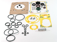 Edwards Clean and Overhaul Kit for the RV Two Stage Rotary Vane Vacuum Pumps - MSE Supplies LLC