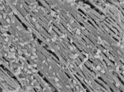 MSE PRO Tantalum Carbide (Ta<sub>4</sub>C<sub>3</sub>T<sub>x</sub>) MXene Multilayer Nanoflakes, 1g, Chemicals and Compounds, MSE Supplies LLC, MSE Supplies
