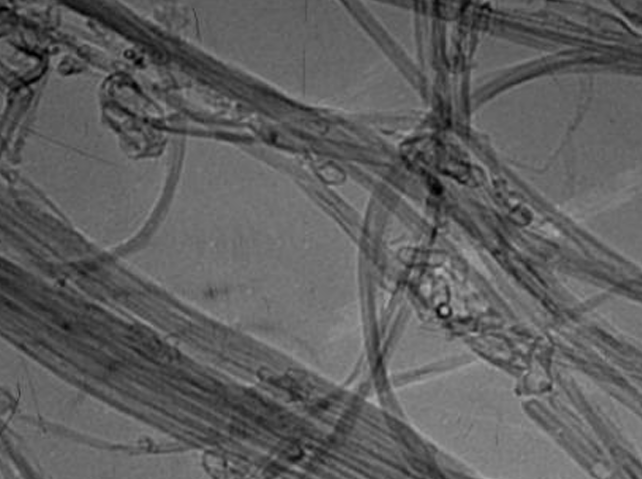 MSE PRO Carboxylic Double-walled Carbon Nanotubes, 1g, Nano Materials, MSE Supplies LLC, MSE Supplies