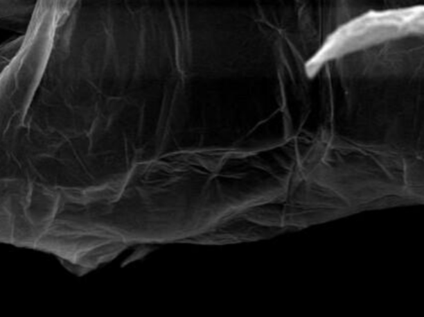 MSE PRO 1g Multilayer Graphene Oxide Powder, Chemicals and Compounds, MSE Supplies LLC, MSE Supplies