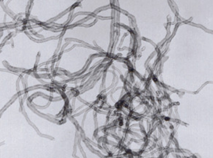 MSE PRO Short Multi-walled Carbon Nanotube, >95 wt%, 25g, Nano Materials, MSE Supplies LLC, MSE Supplies